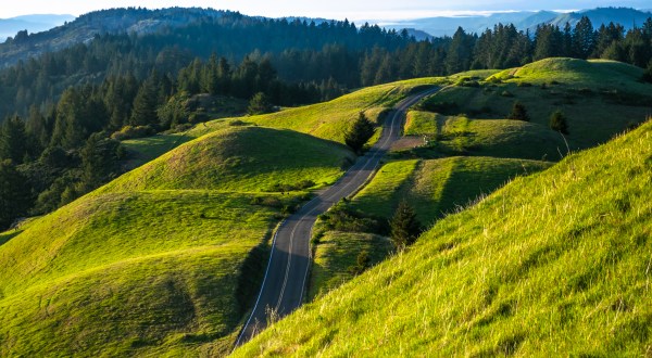 10 Amazing State Parks Around San Francisco That Will Blow You Away