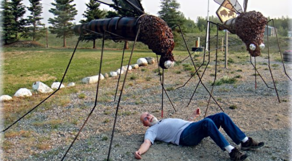These 15 Hysterical Photos Taken In Alaska Will Have You Laughing Out Loud