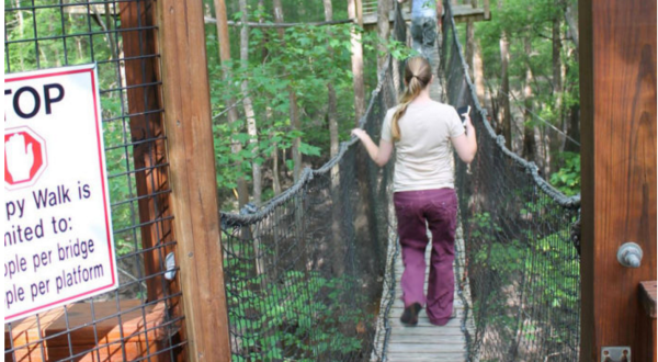 A Canopy Walk In South Carolina, Lynches River County Park Will Make Your Stomach Drop