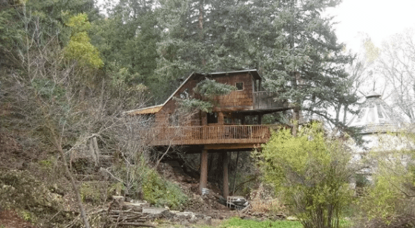 This Treehouse In Colorado Will Give You An Unforgettable Experience