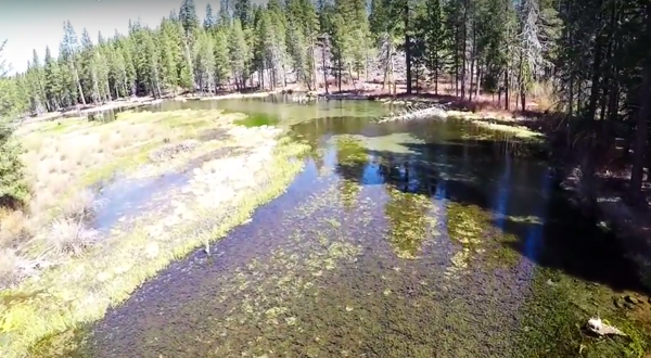 What This Drone Footage Caught In Northern California Will Drop Your Jaw