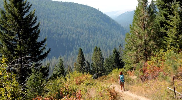 12 Incredible Hikes Under 5 Miles Everyone In Montana Should Take