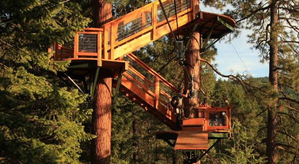 This Canopy Walk In Idaho Will Make Your Stomach Drop