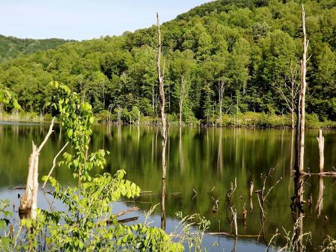 There’s Something Magical About These 10 West Virginia Lakes In The Summer