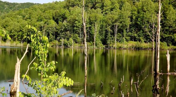 There’s Something Magical About These 10 West Virginia Lakes In The Summer