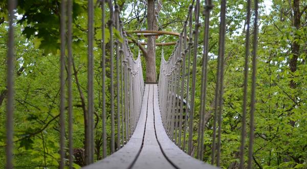 Walk Above A Gorgeous Forest With Lake Geneva Canopy Tours In Wisconsin