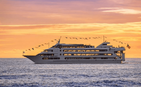 These 11 Cruises In Hawaii Will Give You An Unforgettable Experience
