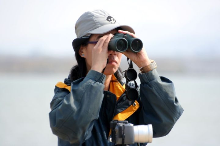 birding binoculars