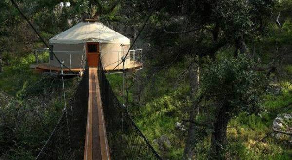 This Canopy Walk In Texas Will Make Your Stomach Drop