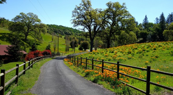 17 Photos That Prove Rural Northern California Is The Best Place To Live