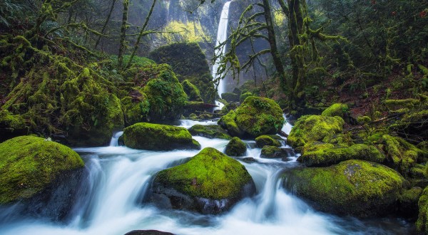 10 Epic Hiking Spots Around Portland Are Completely Out Of This World