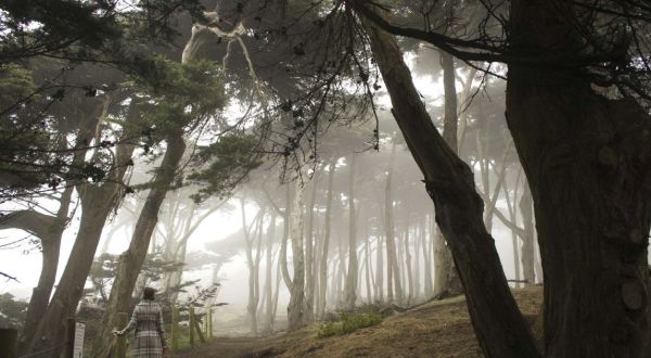 12 Hidden Gems In San Francisco Most People Don’t Know Even Exist