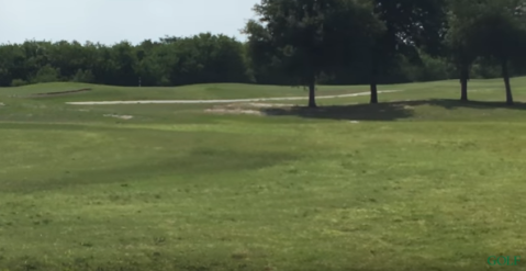 What Was Spotted On A Florida Golf Course Will Drop Your Jaw