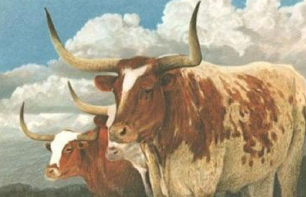 9 Stunning Art Prints Of Texas Mascots Revisited In The Wild