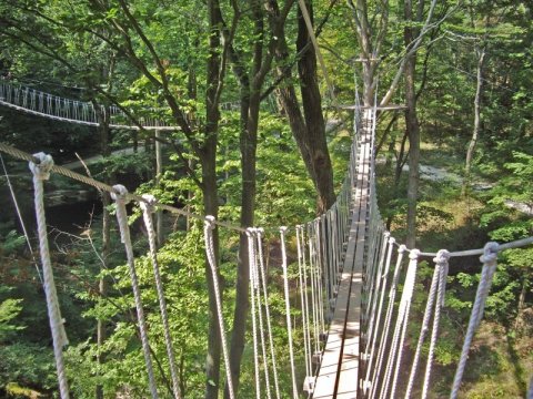 This Terrifying Swinging Bridge In Ohio Will Make Your Stomach Drop