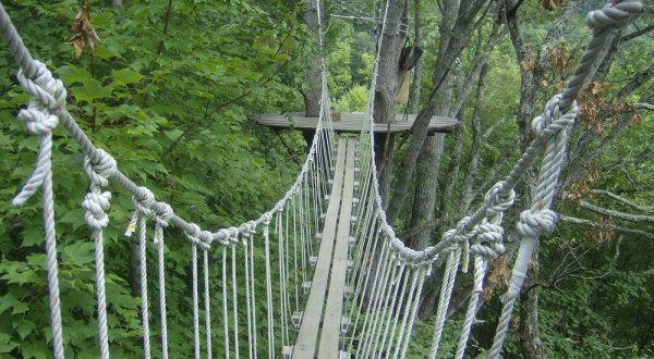 This Canopy Walk In North Carolina Will Make Your Stomach Drop