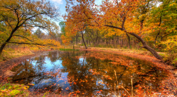 This Underrated Recreation Area Just Might Be The Most Beautiful Place In Oklahoma