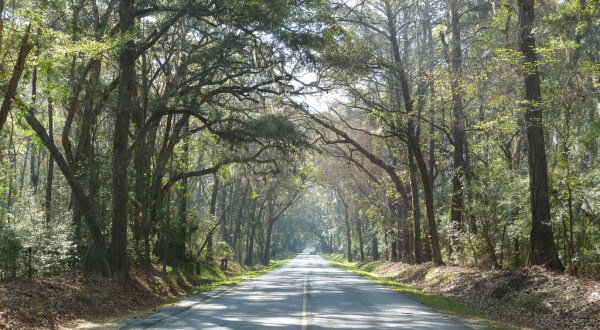 These 8 Beautiful Byways In South Carolina Are Perfect For A Scenic Drive