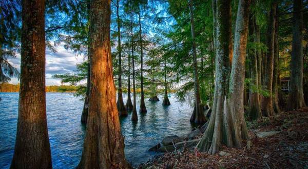These 13 Mind-Blowing Sceneries Totally Define Louisiana