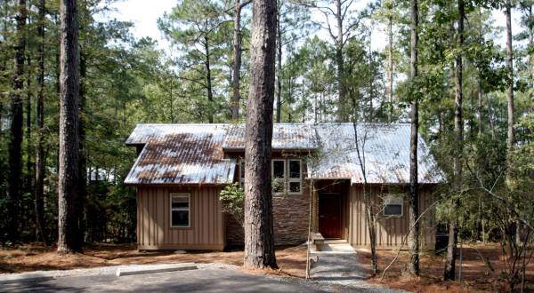 Spend The Night At A Louisiana State Park In One Of These Incredible Cabins