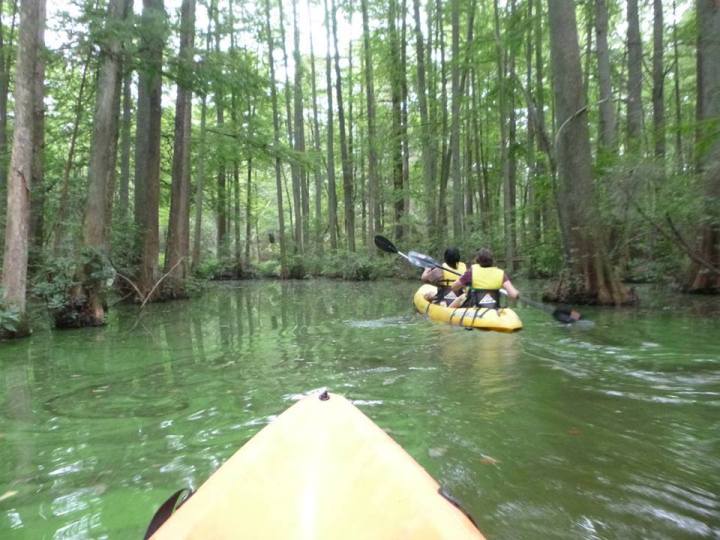 Trap Pond Kayak