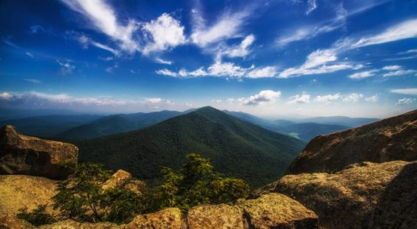 The 22 Best Decisions You Can Make In Virginia