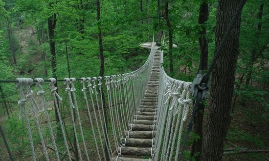 This Canopy Walk In Virginia Will Make Your Stomach Drop