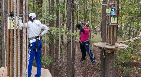 This Canopy Walk In Delaware Will Make Your Stomach Drop