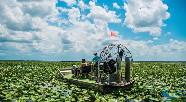 Here’s Florida’s Top Outdoor Attraction… And You’ll Definitely Want To Do It