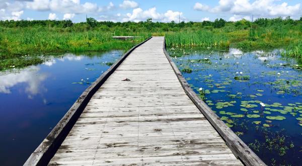 This Little Known Natural Oasis Is Hiding In Louisiana…And You’re Going to Love It