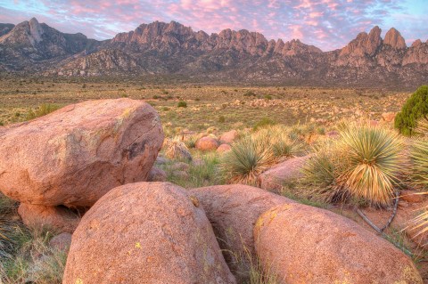 Everything You’ll Ever Need To Know About New Mexico From A to Z