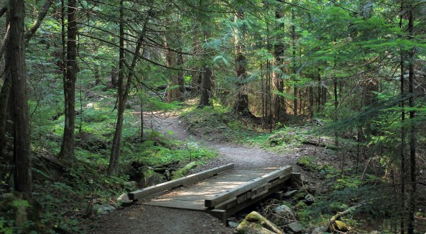 This One Easy Hike In Idaho Will Lead You Someplace Unforgettable