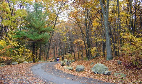 10 Incredible Hikes Under 5 Miles Everyone In Rhode Island Should Take
