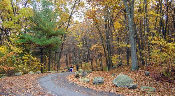 10 Incredible Hikes Under 5 Miles Everyone In Rhode Island Should Take