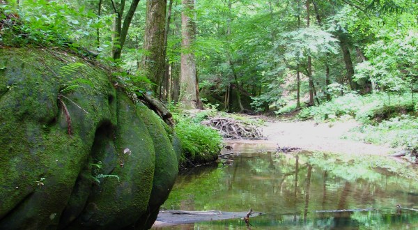 This One Easy Hike In Alabama Will Lead You To Someplace Unforgettable
