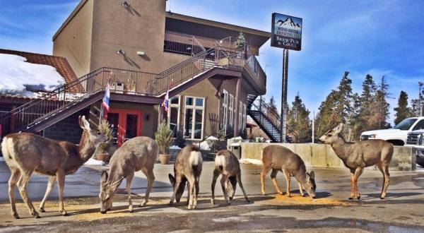 Most People Don’t Know These Small Towns In Wyoming Have AMAZING Restaurants