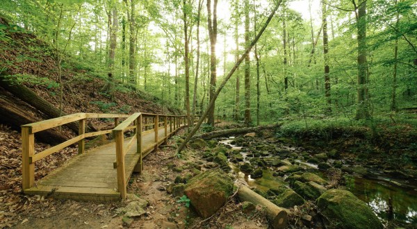 An Easy Hike In Georgia, Cascade Springs Nature Preserve Bursts With Natural Beauty