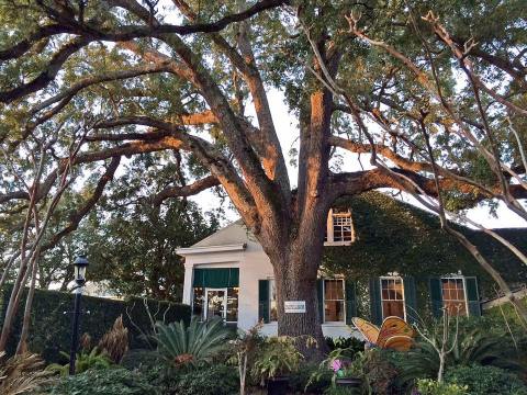 One Of The Oldest Homes In The Country Is Right Here In Mississippi And You'll Definitely Want To Visit