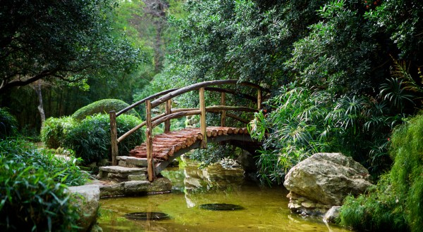 This Underrated Botanical Garden Just Might Be The Most Beautiful Place In Austin