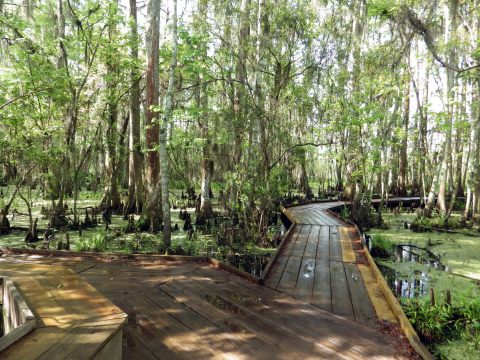 This One Easy Hike in New Orleans Will Lead You Someplace Unforgettable