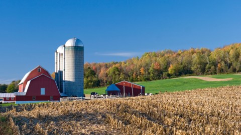 15 More Charming Farms In Minnesota That Will Make You Love The Country