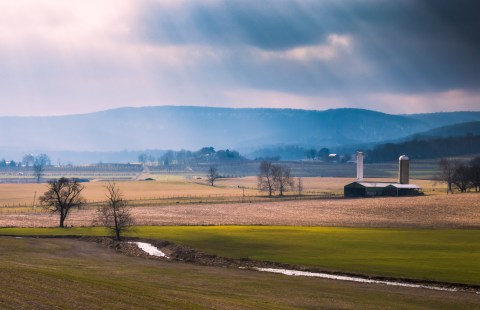 These 20 Charming Farms In Maryland Will Make You Love The Country