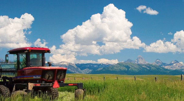 These 15 Charming Farms In Idaho Will Make You Love The Country