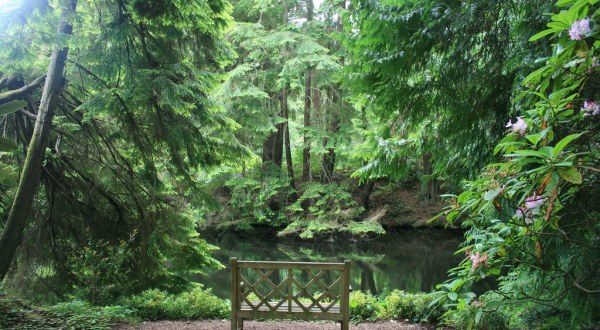 This Little Known Natural Oasis Is Hiding In Washington…And You’re Going To Love It