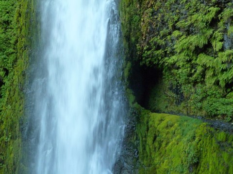 There's Nothing Quite Like This Magical Waterfall Tunnel Hike In Oregon