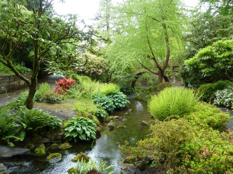 This Little Known Natural Oasis Is Hiding In Oregon... And You're Going To Love It