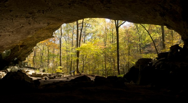 Hiking To This Aboveground Cave In Arkansas Will Give You A Surreal Experience