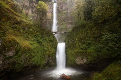 8 Unbelievable Oregon Waterfalls Hiding In Plain Sight... No Hiking Required