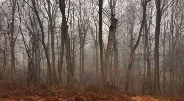 12 Eerie Shots In Delaware That Are Spine-Tingling Yet Magical