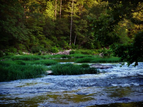 This Little Known Natural Oasis Is Hiding In Alabama... And You're Going To Love It